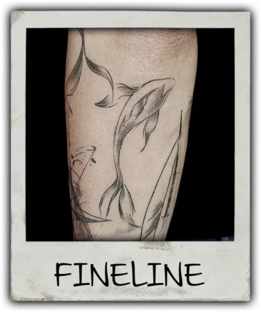 Fineline Preview